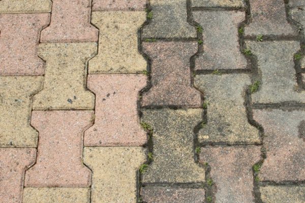 Untitled design (58)